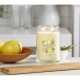Ароматизирана Свещ Yankee Candle Iced Berry Lemonade 567 g