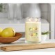Ароматизирана Свещ Yankee Candle Iced Berry Lemonade 567 g