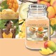Ароматизирана Свещ Yankee Candle 10.00115.0543
