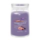 Ароматизирана Свещ Yankee Candle Stargazing 567 g
