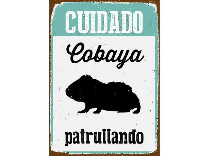 Табелка Magnet & Steel Cuidado Cobaya Patrullando 14,8 x 21 cm