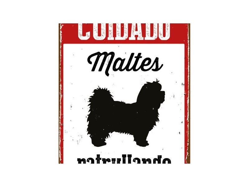 Табелка Magnet & Steel Cuidado Maltés Patrullando 14,8 x 21 cm