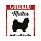 Табелка Magnet & Steel Cuidado Maltés Patrullando 14,8 x 21 cm