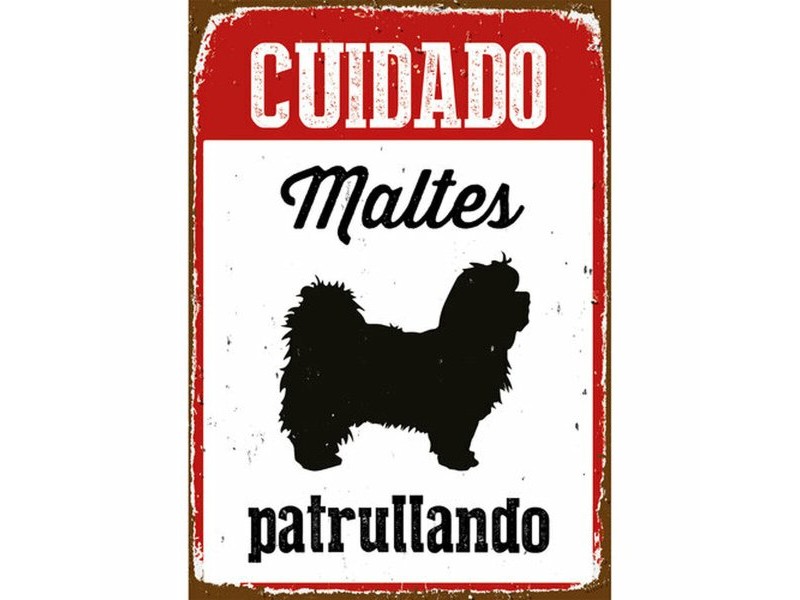 Табелка Magnet & Steel Cuidado Maltés Patrullando 14,8 x 21 cm