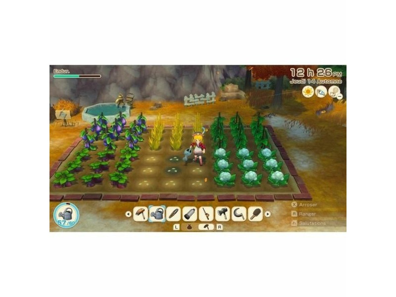 Видео игра за Switch Just For Games Story of Seasons Grand Bazaar : Limited Edition Видео игра за Switch Just For Games Story of Seasons Grand Bazaar : Limited Edition
