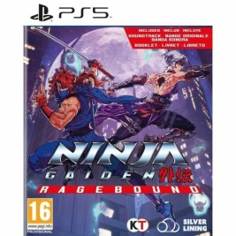 Видеоигра PlayStation 5 Just For Games