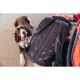 Спортна Раница Gregory 153057-9974 Черен 18 L 27 x 51 x 20 cm