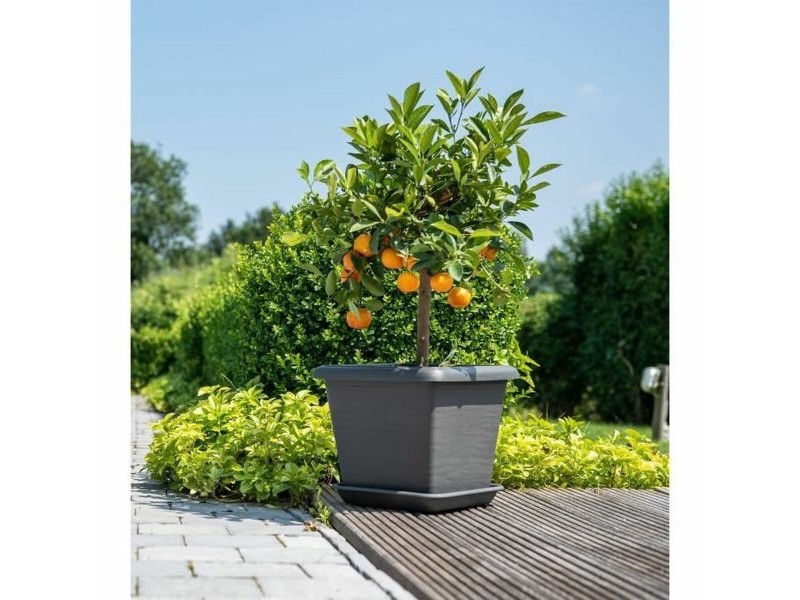 Саксия Garden ID Антрацит Квадратек Ефект камък 40 x 35 cm