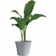 Саксия Garden ID Сив 30 x 27 cm Саксия Garden ID Сив 30 x 27 cm