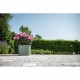 Саксия за самостоятелно поливане Garden ID Светло Зелено 25 x 25 cm