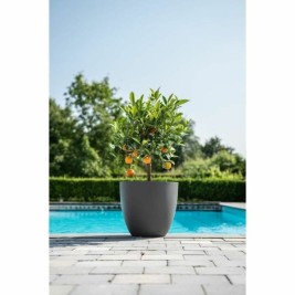 Саксия Garden ID Антрацит 38 x 34 cm