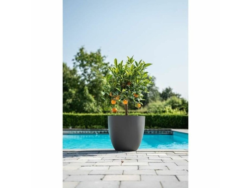 Саксия Garden ID Phoenix Anthracite Антрацит 48 x 42 cm