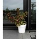 Саксия за самостоятелно поливане Garden ID Бял Саксия за самостоятелно поливане Garden ID Бял