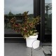 Саксия за самостоятелно поливане Garden ID Бял Саксия за самостоятелно поливане Garden ID Бял