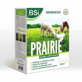 Семена BSI