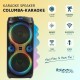 Колони Ibiza COLUMBA KARAOKE Черен