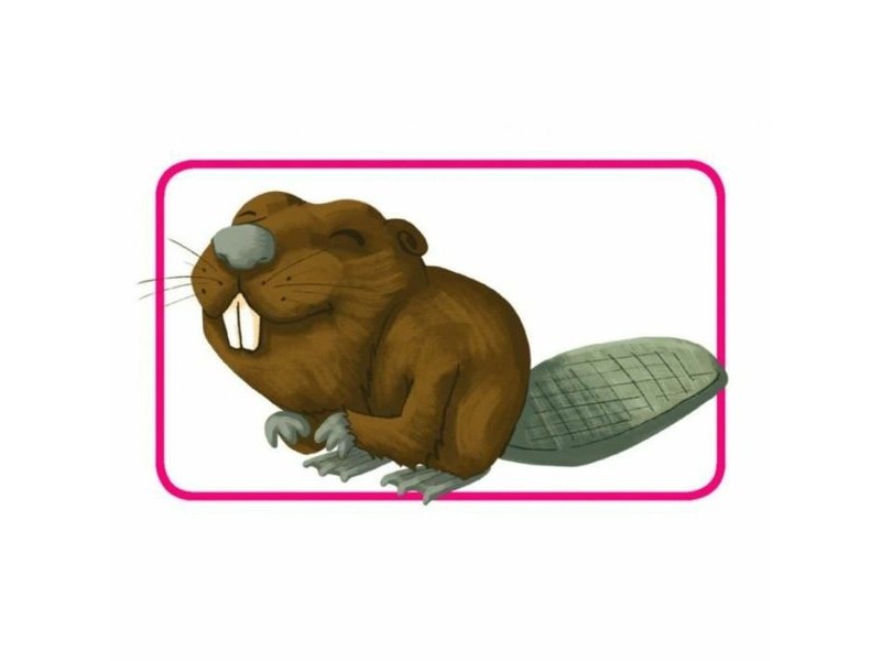 Настолна игра Asmodee Concept kids (FR)