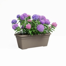 Саксия Artevasi VENEZIA L SWS Кафяв Тъмнокафяв (4 Части)