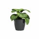 Саксия Artevasi SAN REMO Антрацит Ø 42 cm (2 Части) Саксия Artevasi SAN REMO Антрацит Ø 42 cm (2 Части)