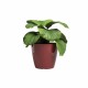 Саксия Artevasi SAN REMO Тъмно червен Ø 36 cm (4 Части) Саксия Artevasi SAN REMO Тъмно червен Ø 36 cm (4 Части)