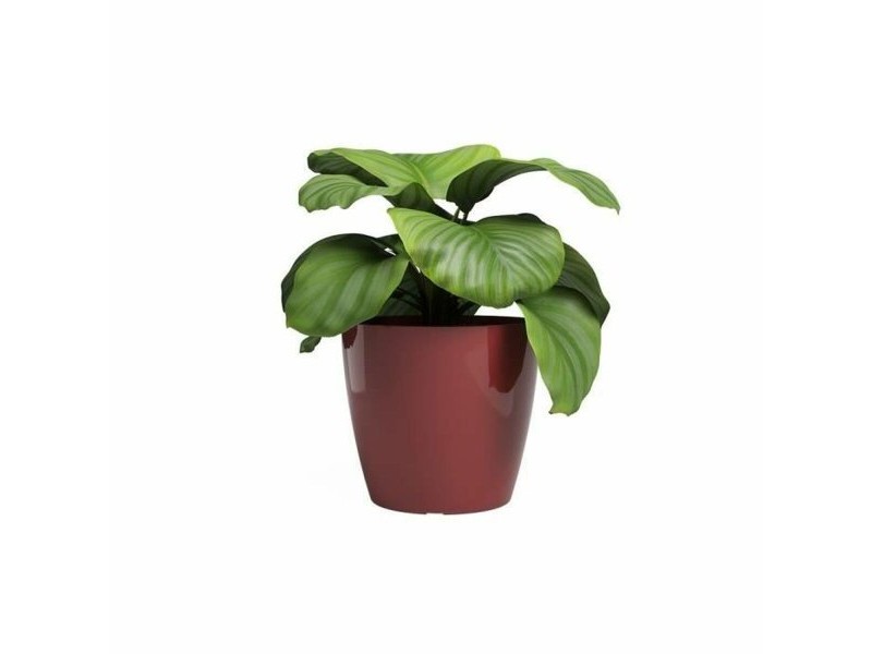 Саксия Artevasi SAN REMO Ø 42 cm Червен (2 Части) Саксия Artevasi SAN REMO Ø 42 cm Червен (2 Части)