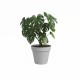 Саксия Artevasi CAPRI Светло сив Ø 40 cm