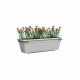 Саксия Artevasi VENEZIA RE KIT Сив Светло сив (6 Части)