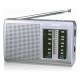 AM / FM радио Haeger PR-BIB.001A Сив
