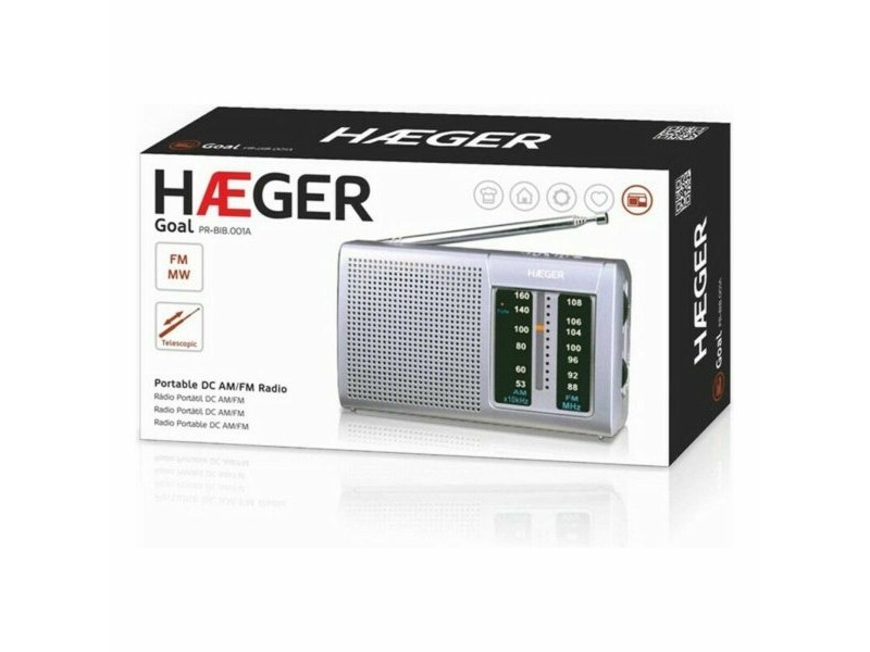 AM / FM радио Haeger PR-BIB.001A Сив
