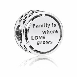 Charm Damă Pandora OPENWORK FAMILY ROOTS