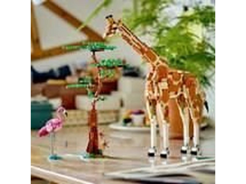 Playset Lego 31150 Creator Wild Animal Safari