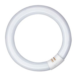 Флуоресцентна тръба Patron 20 W G10Q (6400 K)