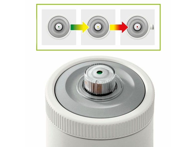 Растения за обработка на плувен басейн Intex