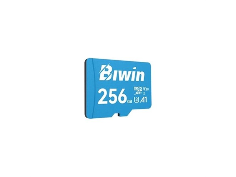 Kарта памет Micro SDXC Biwin MS100 256 GB