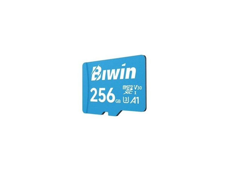 Kарта памет Micro SDXC Biwin MS100 256 GB