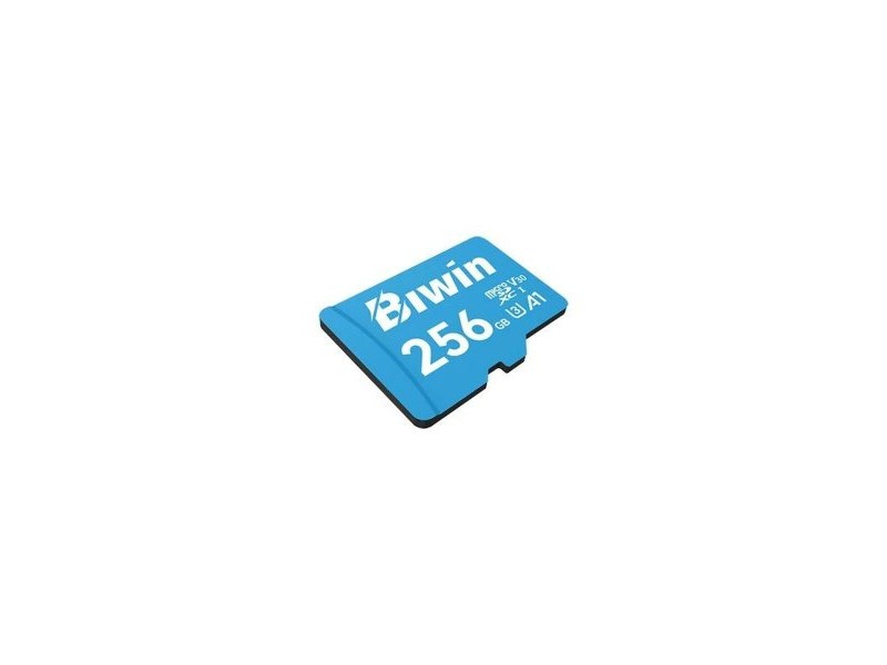 Kарта памет Micro SDXC Biwin MS100 256 GB