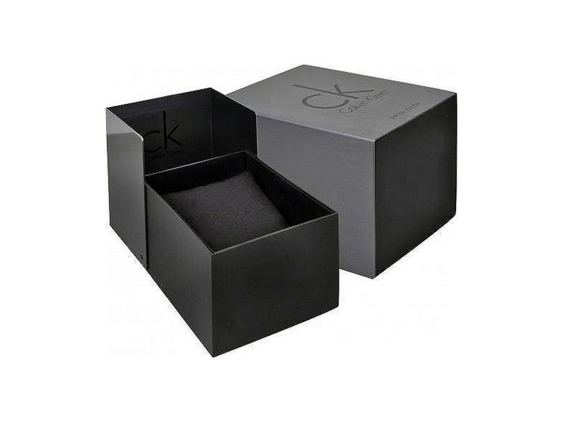 Мъжки часовник Calvin Klein ESTABLISHED (Ø 43 mm)