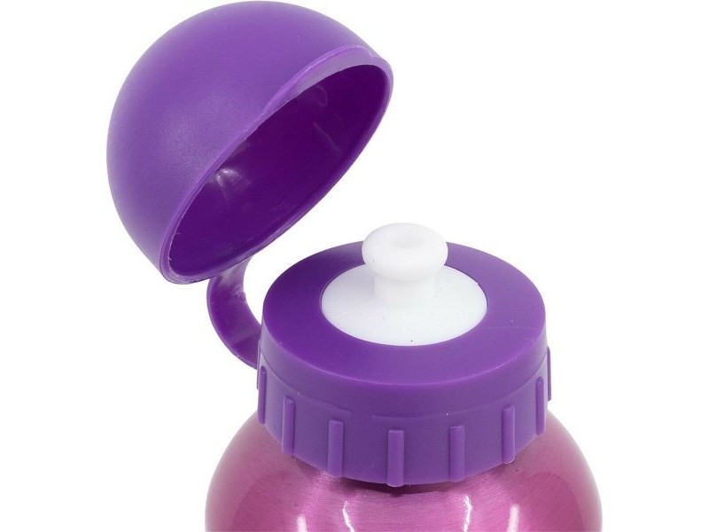 Бутилка за вода Disney Princess CZ11260 530 ml Розов Алуминий