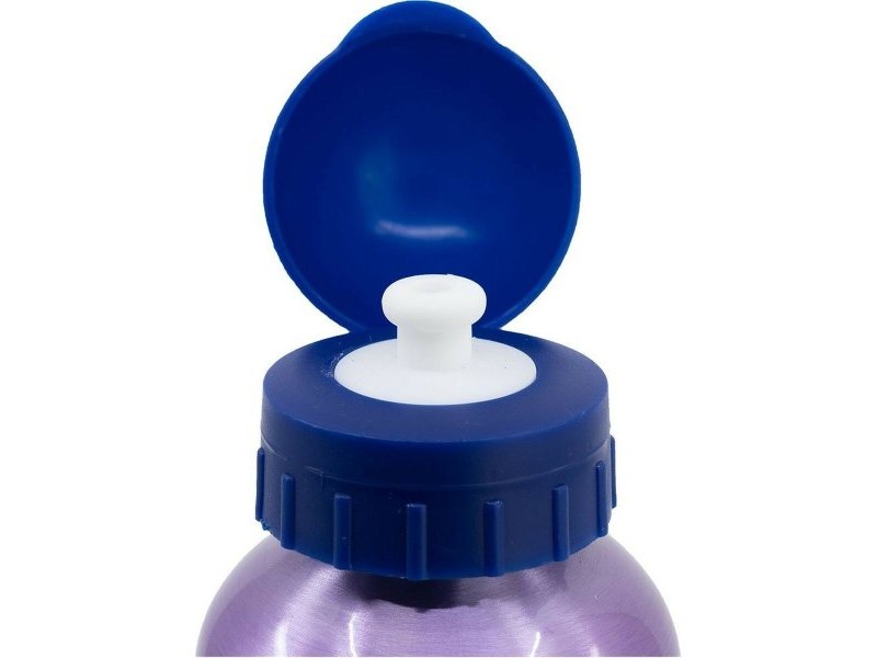 Бутилка за вода Frozen CZ11261 530 ml Син Алуминий