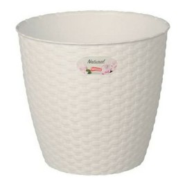 Саксия Stefanplast 73450 Бял Пластмаса 14 x 13 x 14 cm