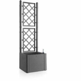 Саксия Stefanplast Deluxe 43 x 43 x 142 cm Сив