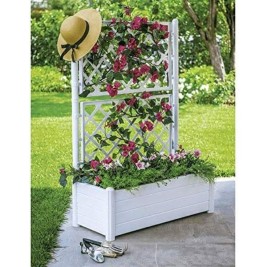 Саксия Stefanplast 100 x 43 x 142 cm Квадратен Бял
