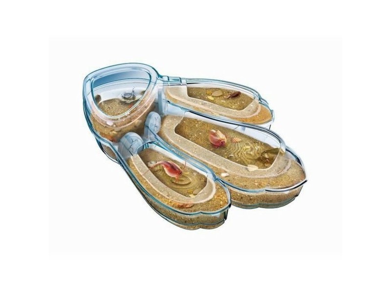 Научна Игра Clementoni Triops Les animaux préhistoriques FR