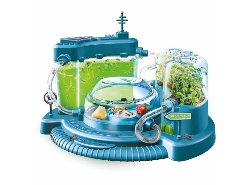 Научна Игра Baby Born Science and Games The city of ants Ant observatory (FR)