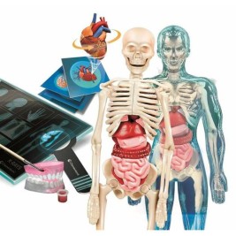 Научна Игра Clementoni Superanatomía (ES)