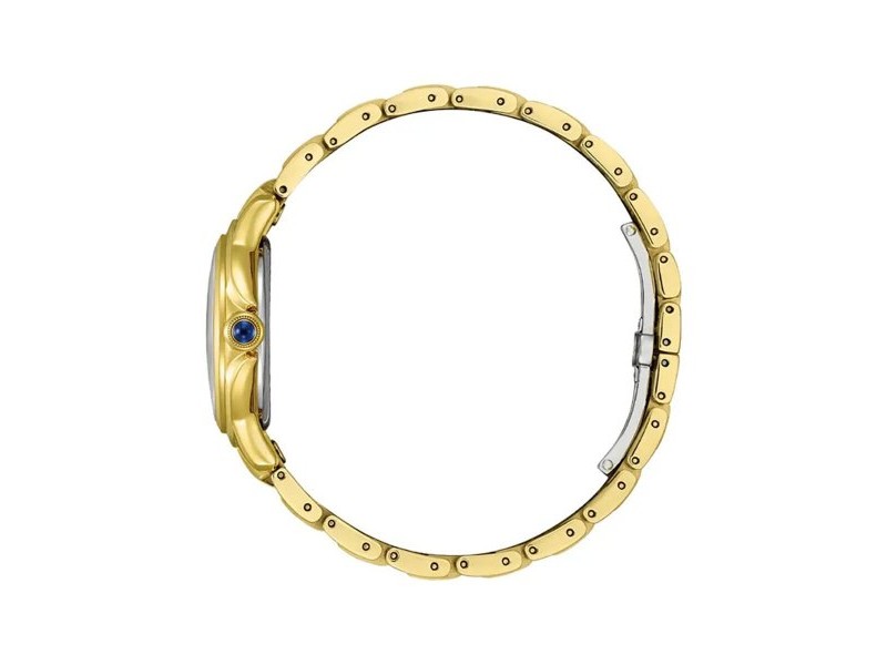 Мъжки часовник Citizen EM1162-52A Златен