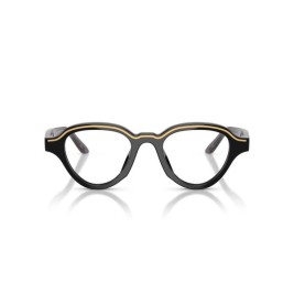 Мъжки слънчеви очила Emporio Armani EA 4264U