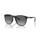 Мъжки слънчеви очила Emporio Armani EA 4210
