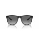 Мъжки слънчеви очила Emporio Armani EA 4210