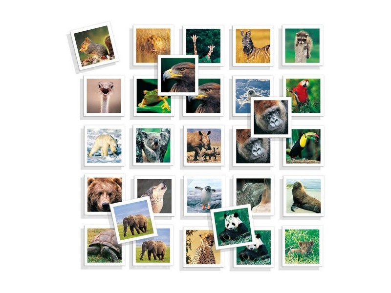 Образователна Игра Diset Memo Photo Animales 54 Части